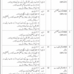 Government Organization